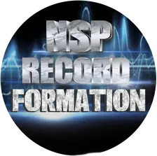 NSP Record Formation